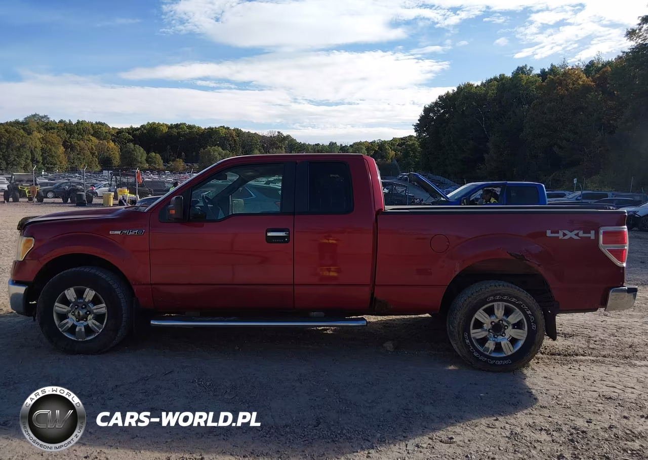 2010 Ford F-150 Fx4-Lariat-Xl-Xlt VIN:1FTFX1EV7AFC24154 - 15