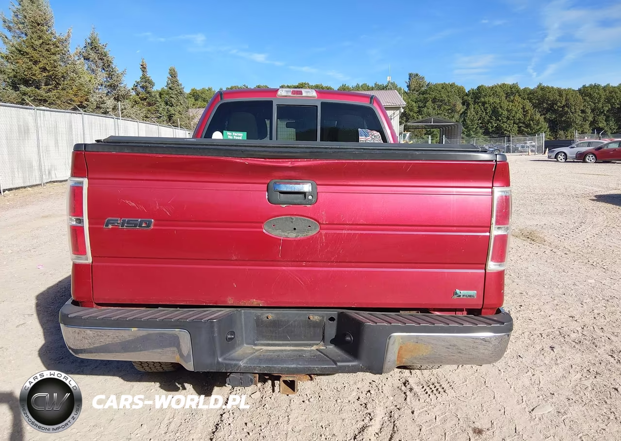 2010 Ford F-150 Fx4-Lariat-Xl-Xlt VIN:1FTFX1EV7AFC24154 - 17