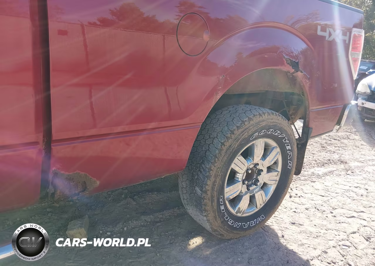 2010 Ford F-150 Fx4-Lariat-Xl-Xlt VIN:1FTFX1EV7AFC24154 - 18