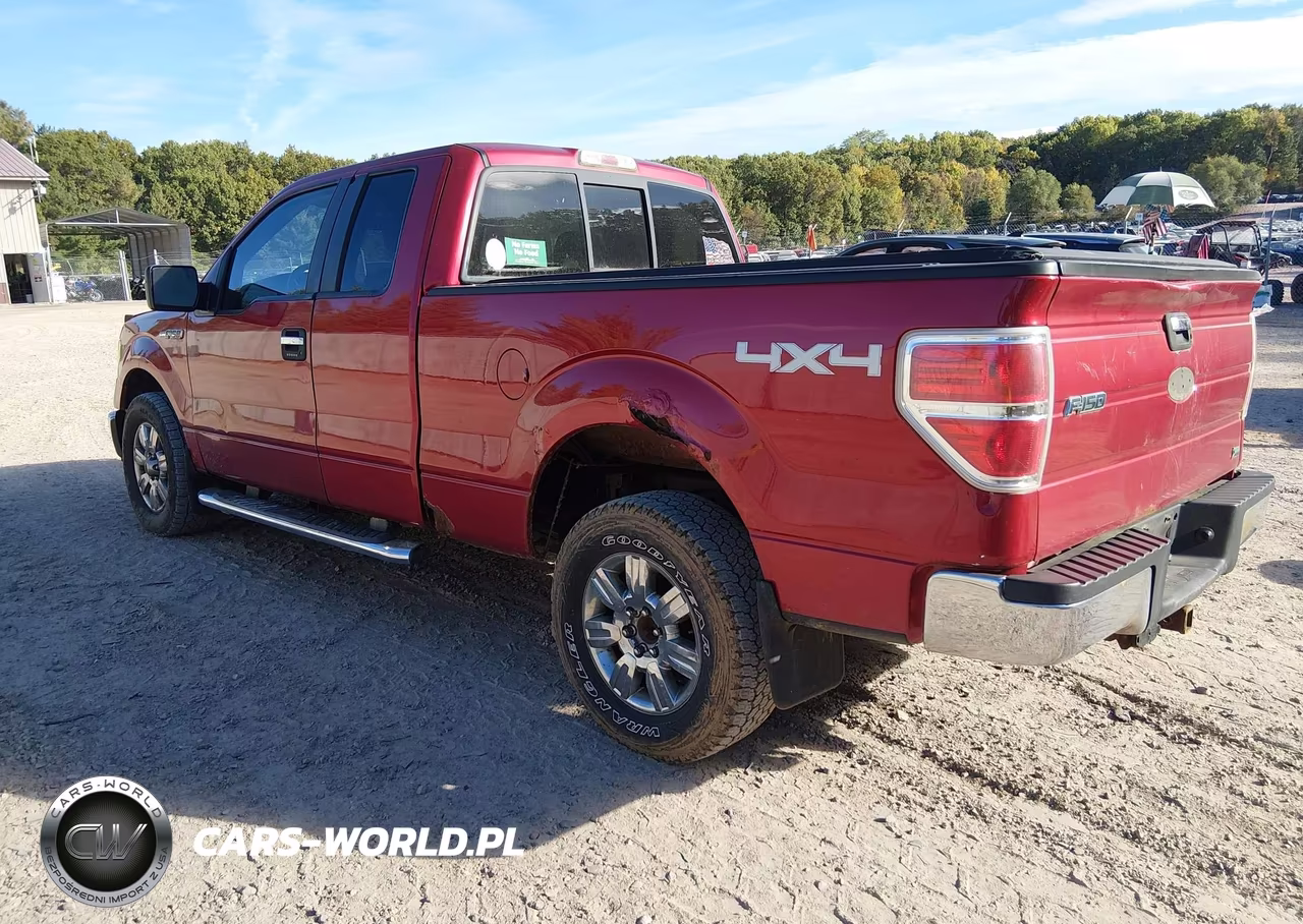 2010 Ford F-150 Fx4-Lariat-Xl-Xlt VIN:1FTFX1EV7AFC24154 - 3