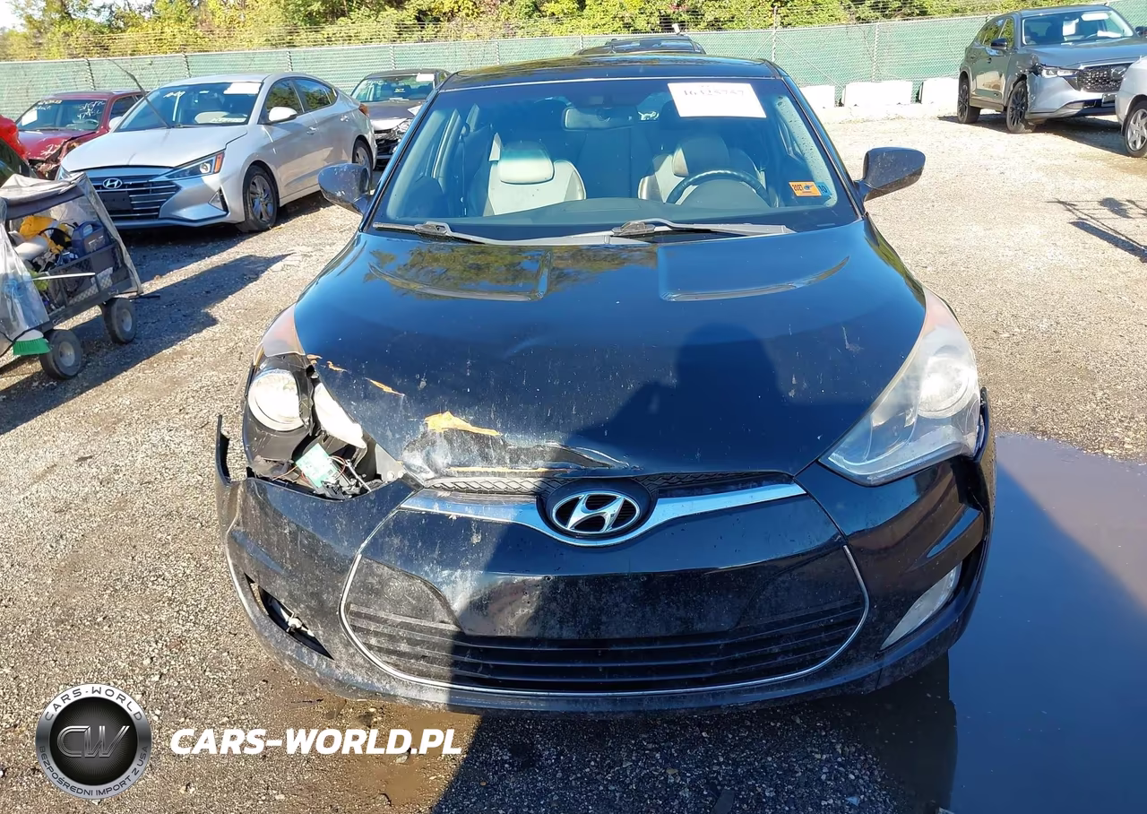 2013 Hyundai Veloster Base W-Gray VIN:KMHTC6AD7DU134247 - 12