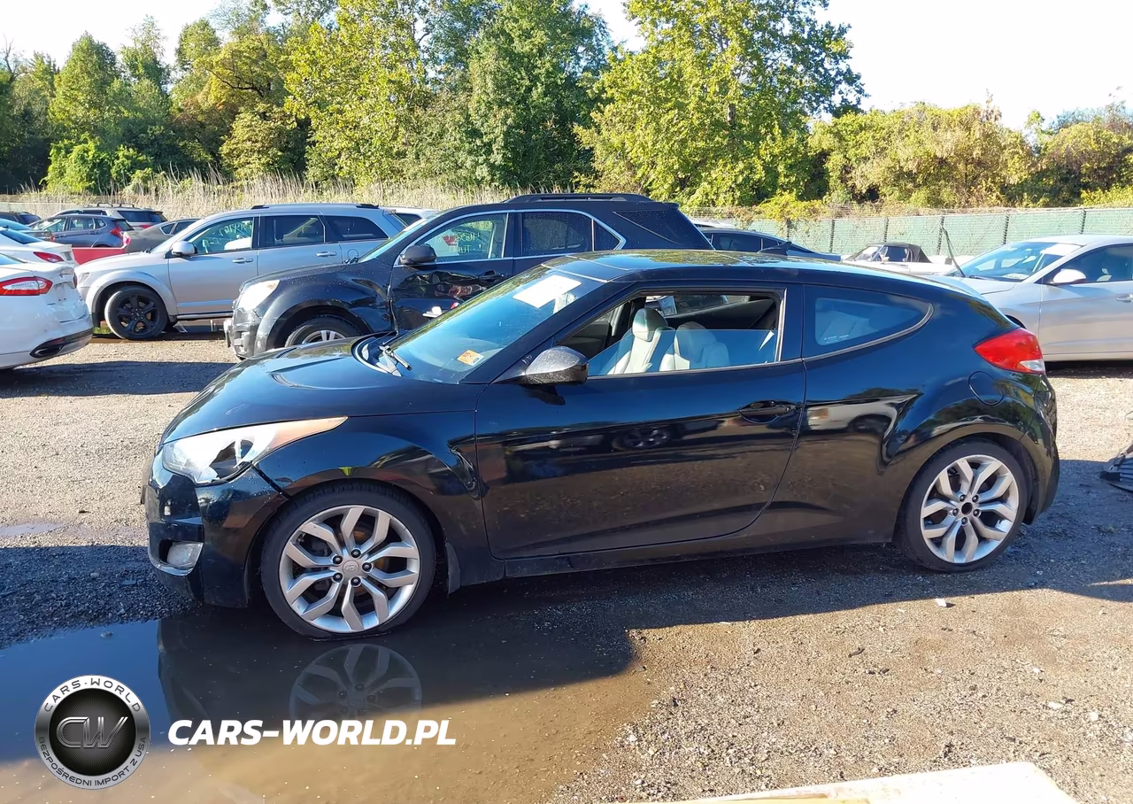 2013 Hyundai Veloster Base W-Gray VIN:KMHTC6AD7DU134247 - 14