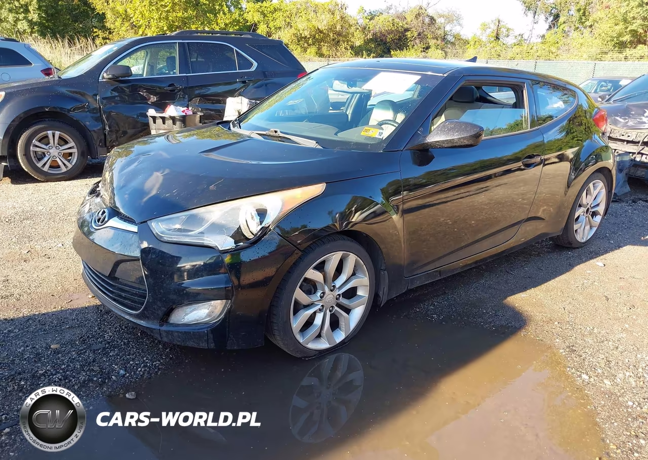 2013 Hyundai Veloster Base W-Gray VIN:KMHTC6AD7DU134247 - 2