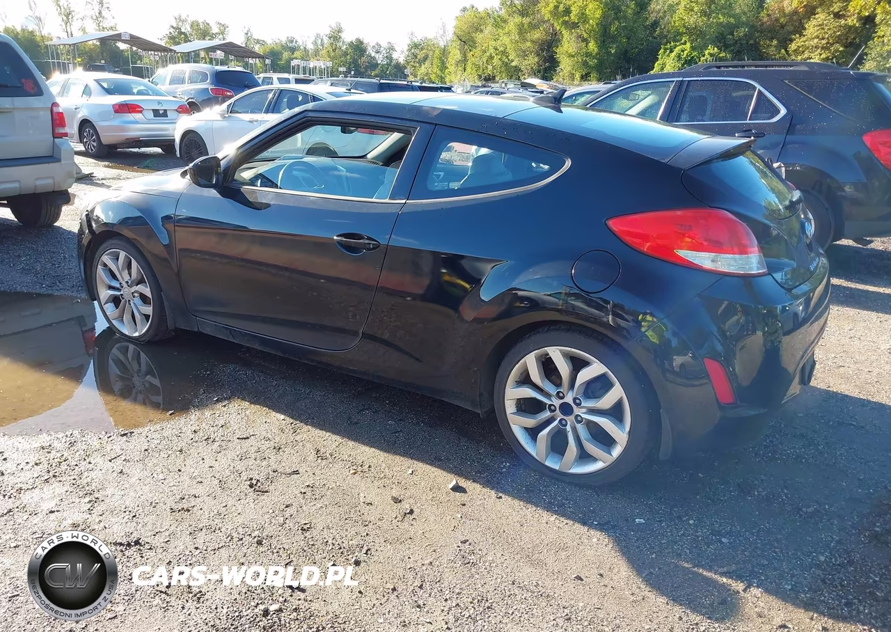 2013 Hyundai Veloster Base W-Gray VIN:KMHTC6AD7DU134247 - 3