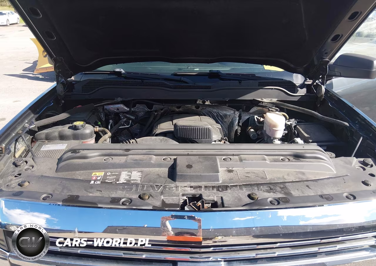 2018 Chevrolet Silverado 2500Hd Wt VIN:1GC1KUEG9JF260777 - 10