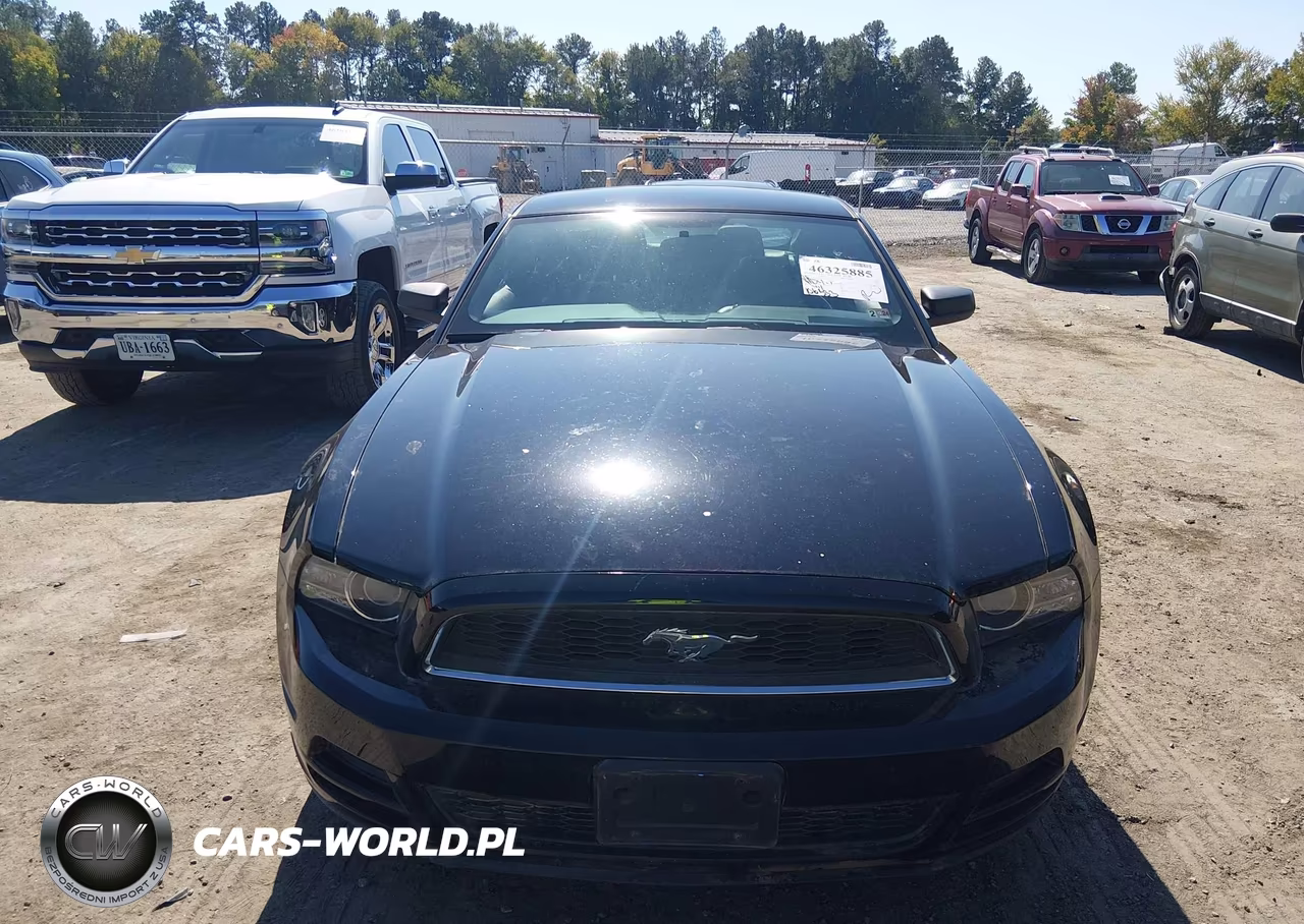 2013 Ford Mustang V6 VIN:1ZVBP8AM1D5247389 - 12