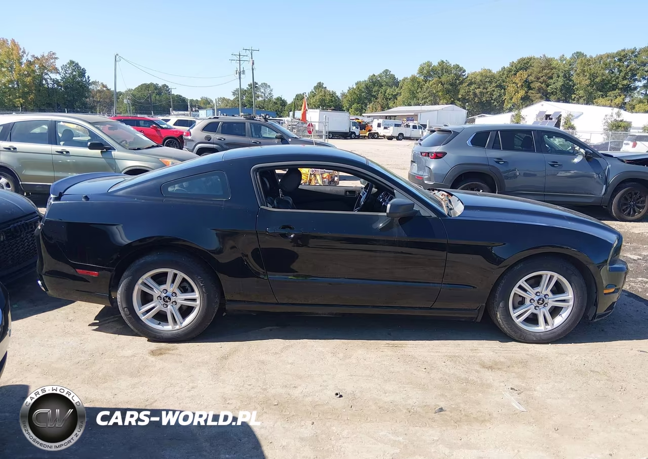 2013 Ford Mustang V6 VIN:1ZVBP8AM1D5247389 - 13