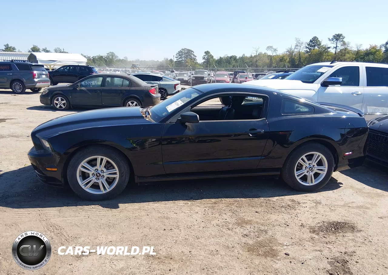 2013 Ford Mustang V6 VIN:1ZVBP8AM1D5247389 - 14