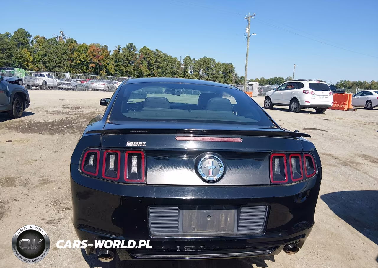 2013 Ford Mustang V6 VIN:1ZVBP8AM1D5247389 - 16