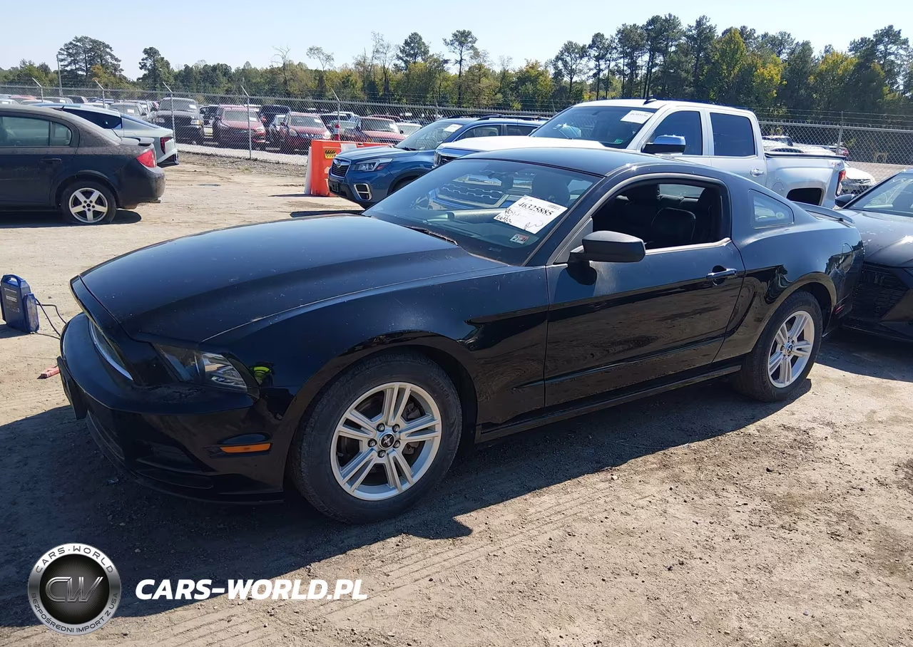 2013 Ford Mustang V6 VIN:1ZVBP8AM1D5247389 - 2
