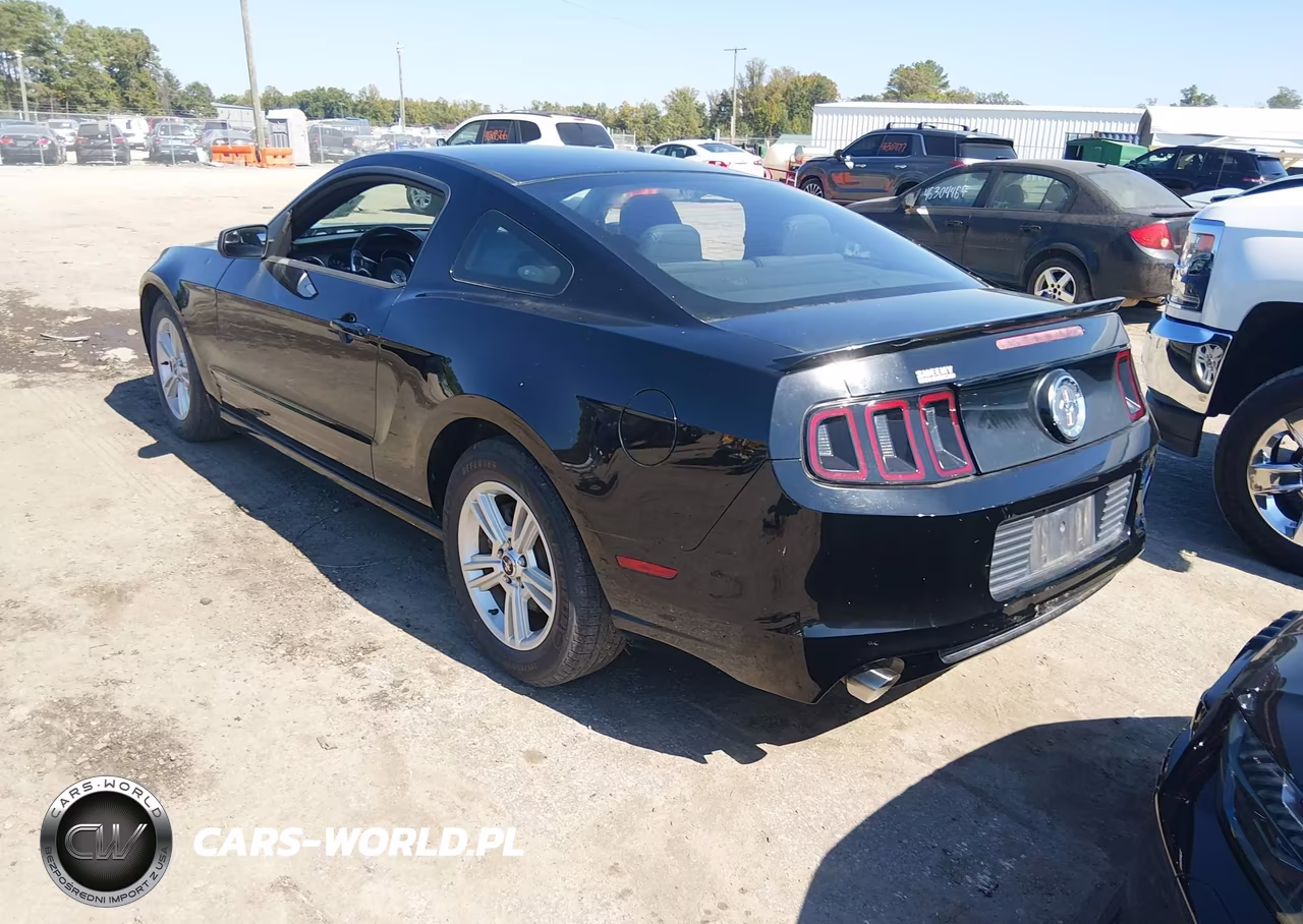 2013 Ford Mustang V6 VIN:1ZVBP8AM1D5247389 - 3