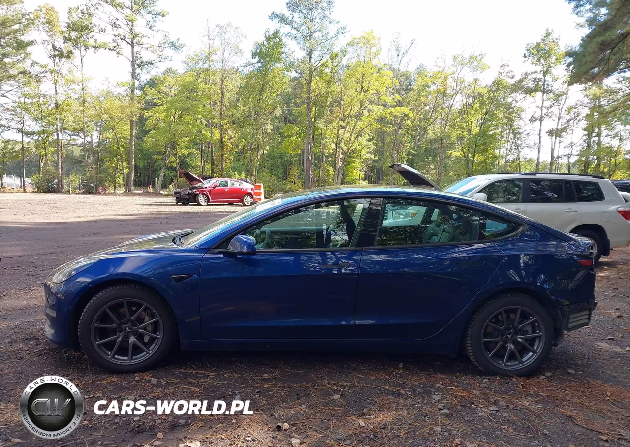 2022 Tesla Model 3 Long Range Dual Motor All-Wheel Drive VIN:5YJ3E1EB6NF186585 - 15