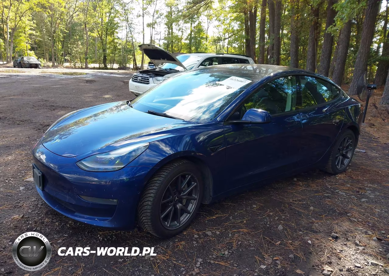 2022 Tesla Model 3 Long Range Dual Motor All-Wheel Drive VIN:5YJ3E1EB6NF186585 - 2