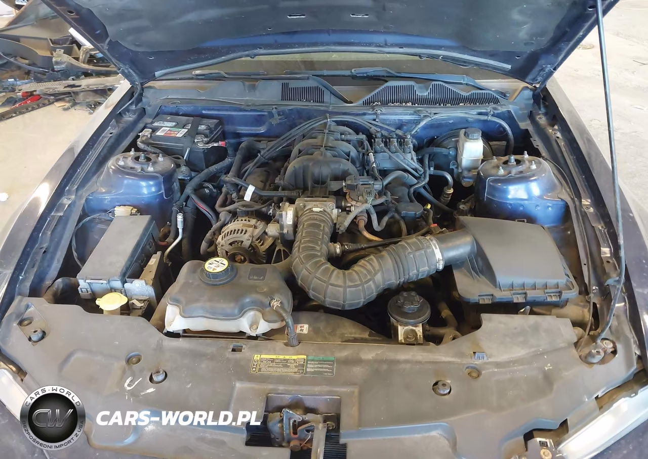 2010 Ford Mustang V6-V6 Premium VIN:1ZVBP8AN0A5128107 - 10