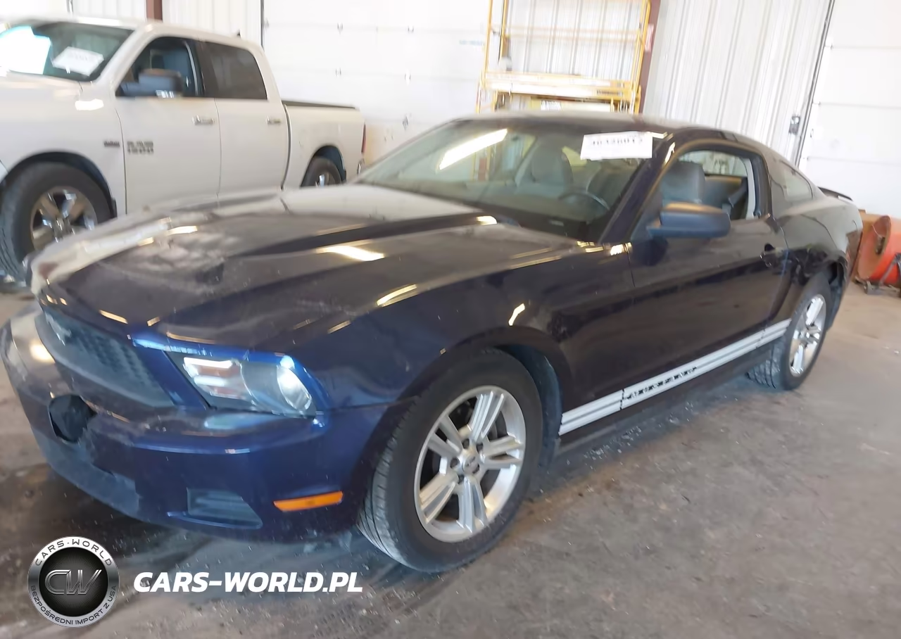 2010 Ford Mustang V6-V6 Premium VIN:1ZVBP8AN0A5128107 - 2