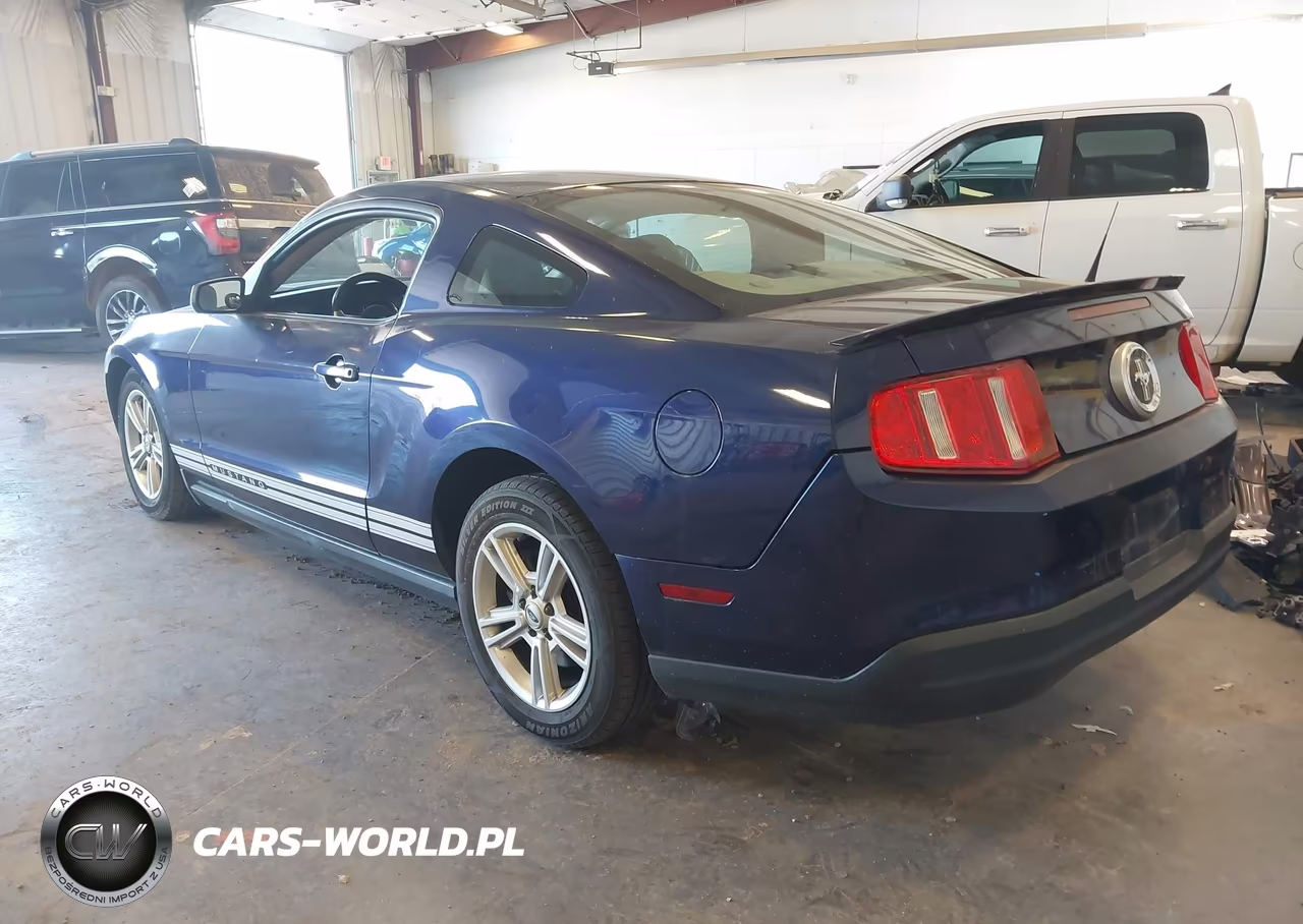 2010 Ford Mustang V6-V6 Premium VIN:1ZVBP8AN0A5128107 - 3
