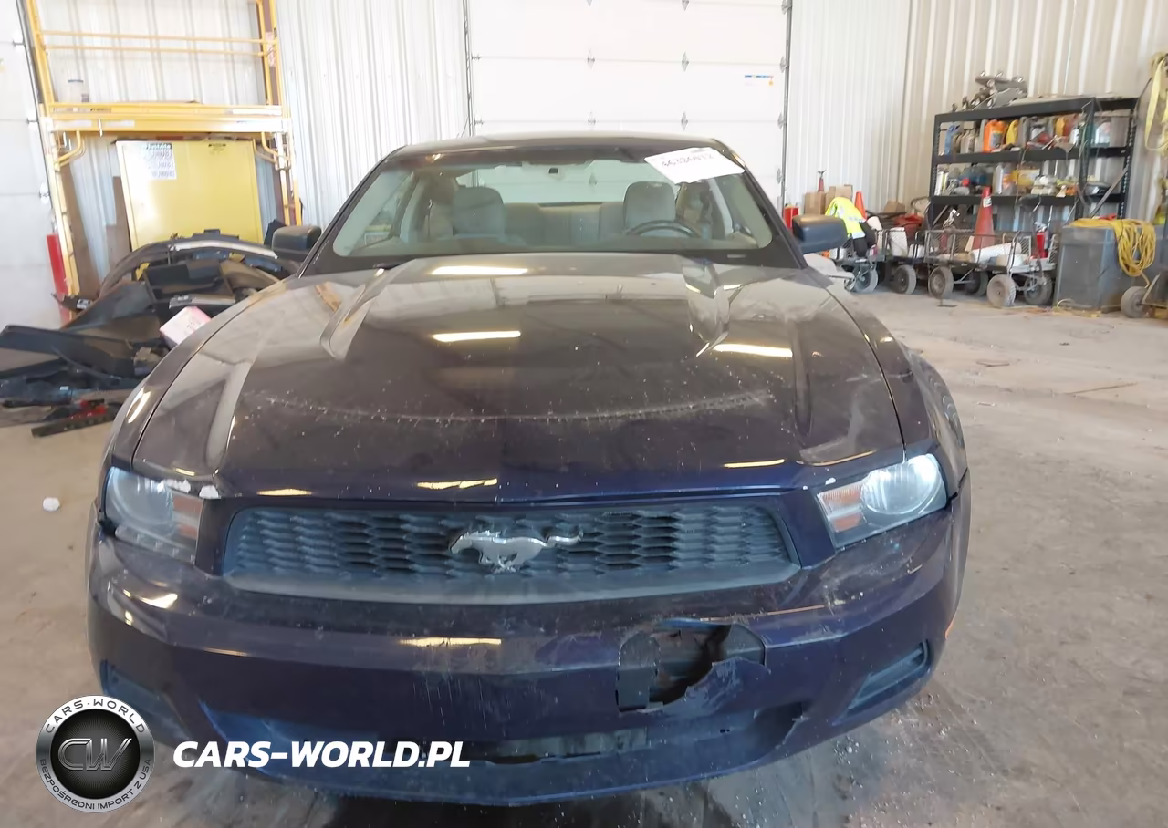 2010 Ford Mustang V6-V6 Premium VIN:1ZVBP8AN0A5128107 - 6