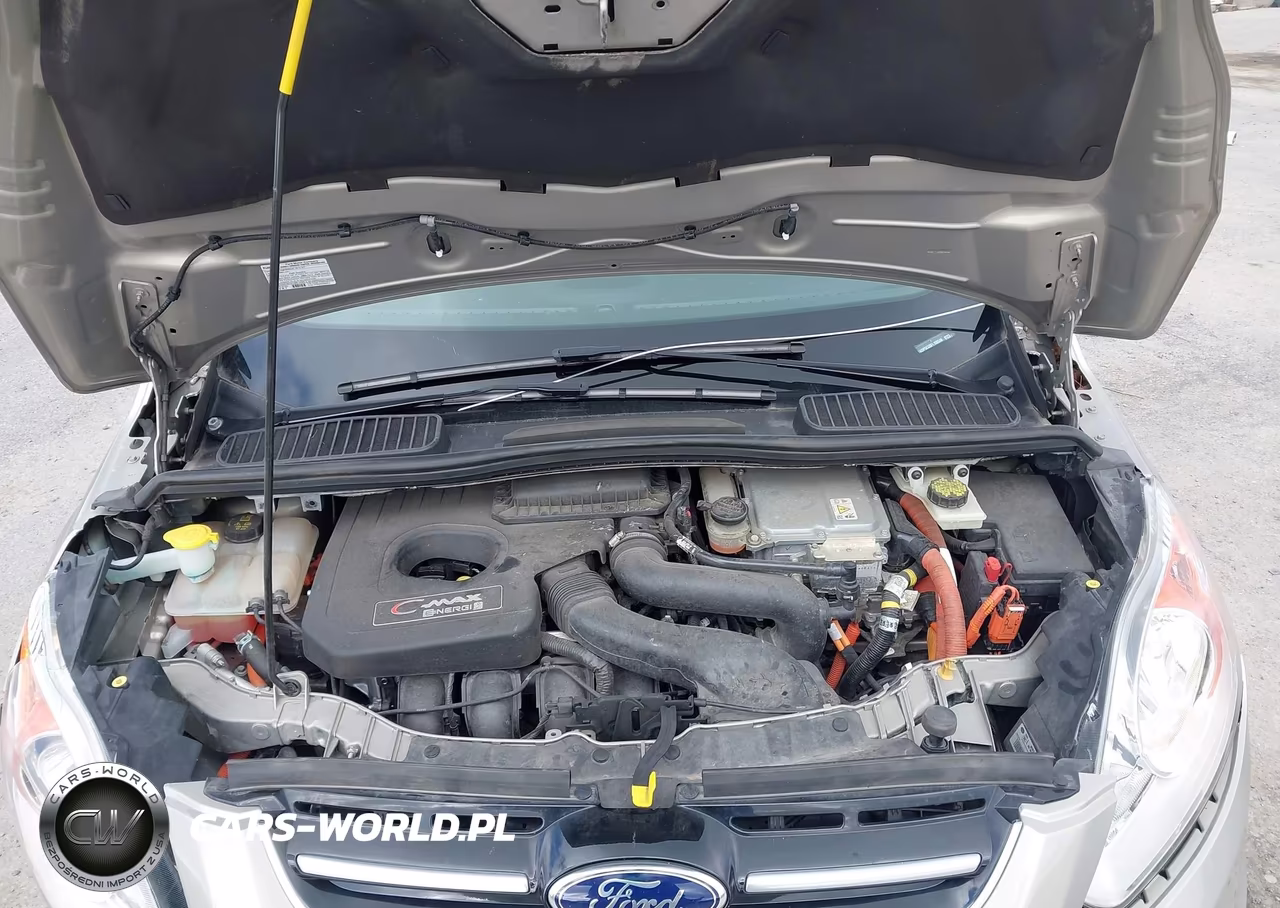 2015 Ford C-Max Energi Sel VIN:1FADP5CU8FL108548 - 10