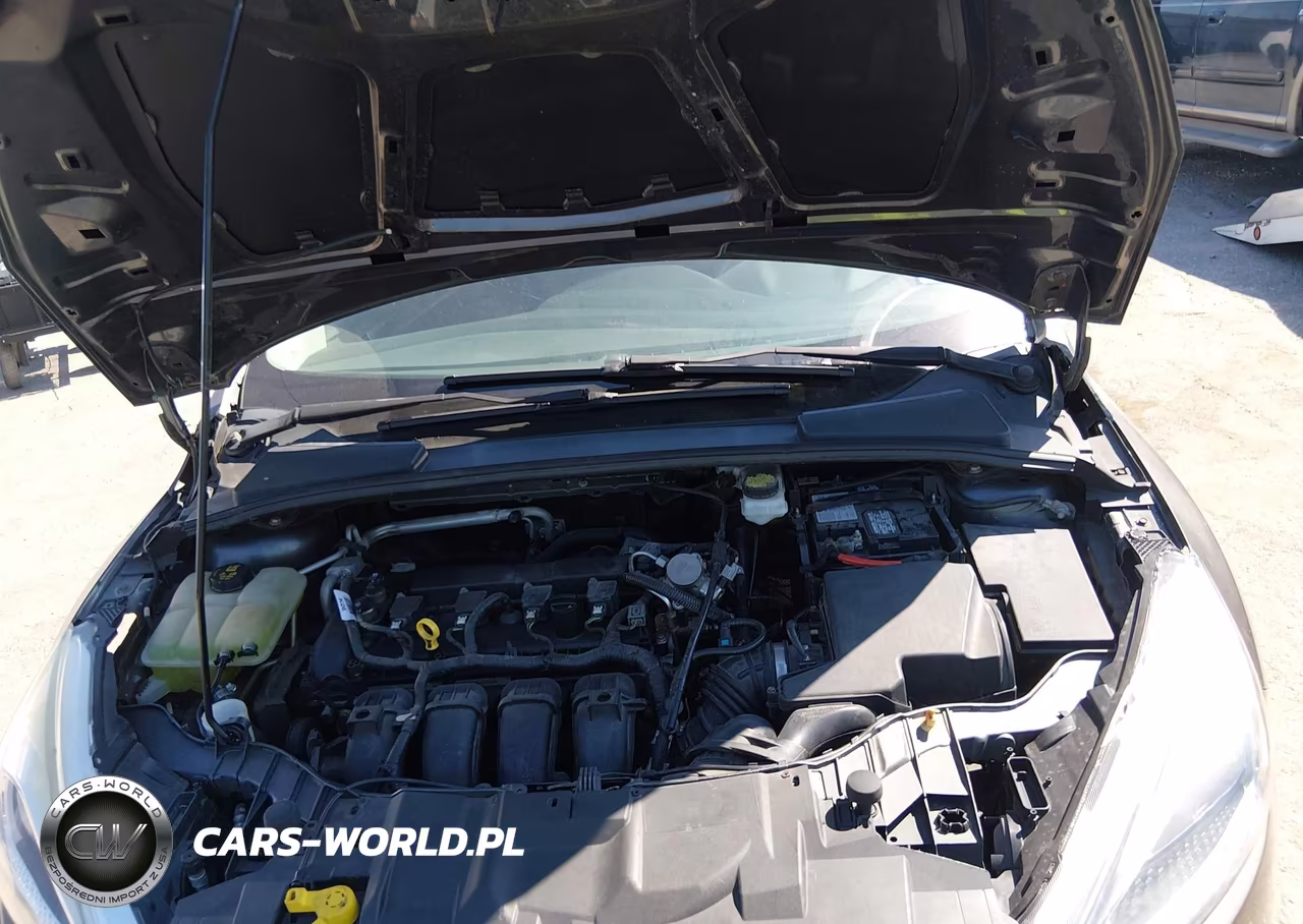 2018 Ford Focus Se VIN:1FADP3F2XJL212868 - 10