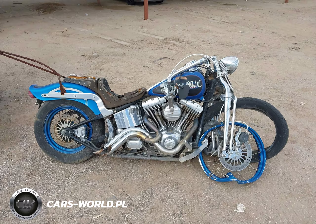 2004 Harley-Davidson Fxstsi VIN:1HD1BZB114Y050789 - 11