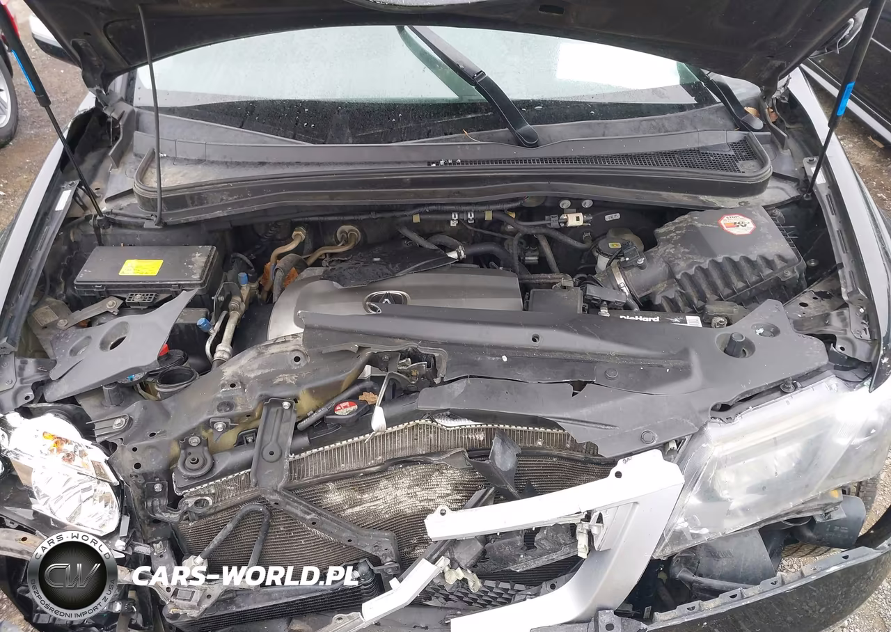 2010 Acura Mdx VIN:2HNYD2H46AH519765 - 10