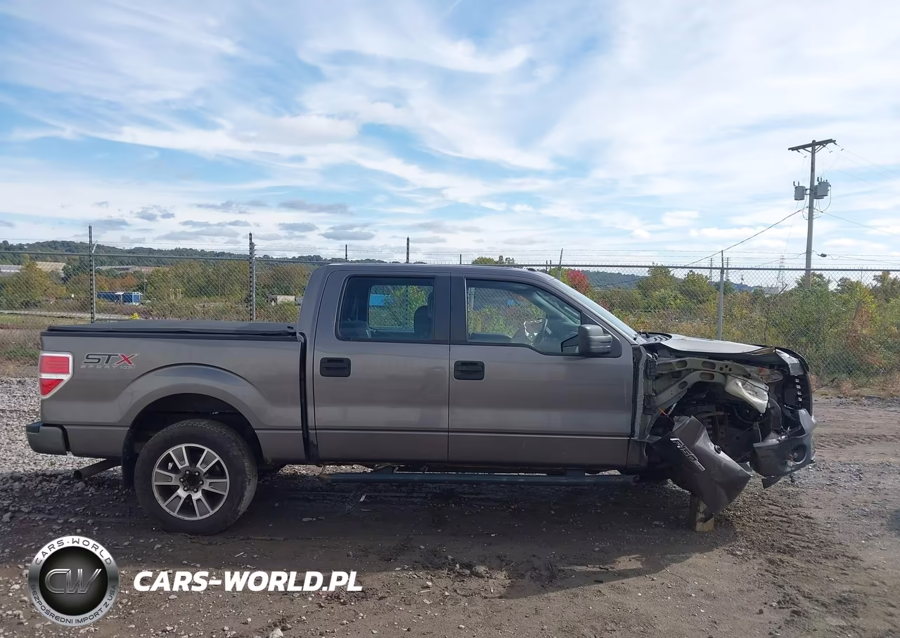 2014 Ford F-150 Stx VIN:1FTFW1EF0EFC41217 - 13
