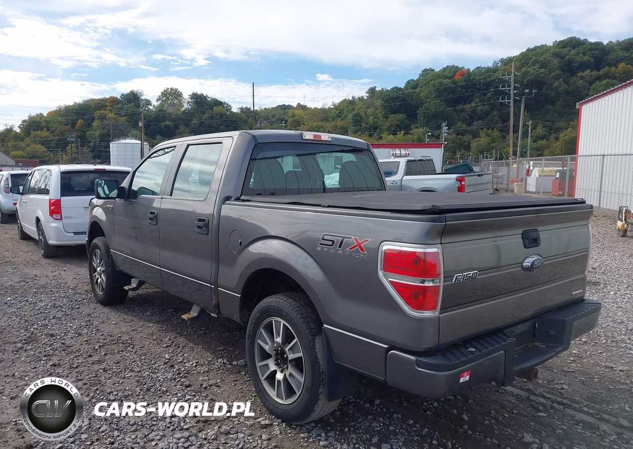 2014 Ford F-150 Stx VIN:1FTFW1EF0EFC41217 - 3