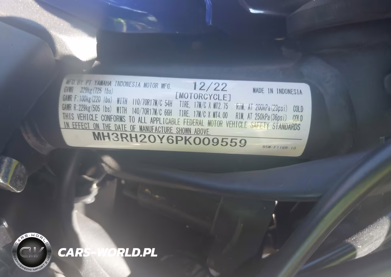 2023 Yamaha Mt-03 VIN:MH3RH20Y6PK009559 - 10