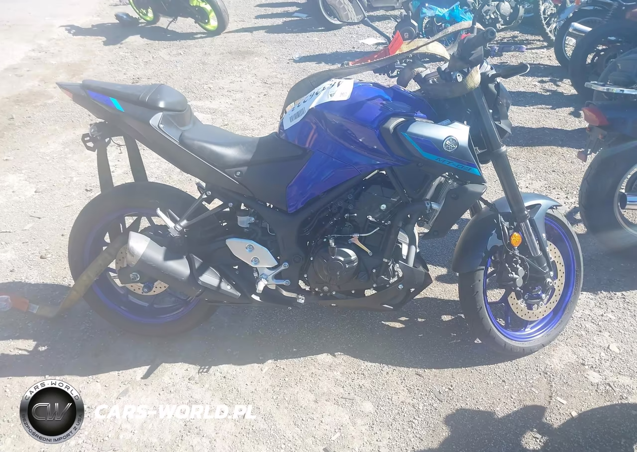 2023 Yamaha Mt-03 VIN:MH3RH20Y6PK009559 - 12