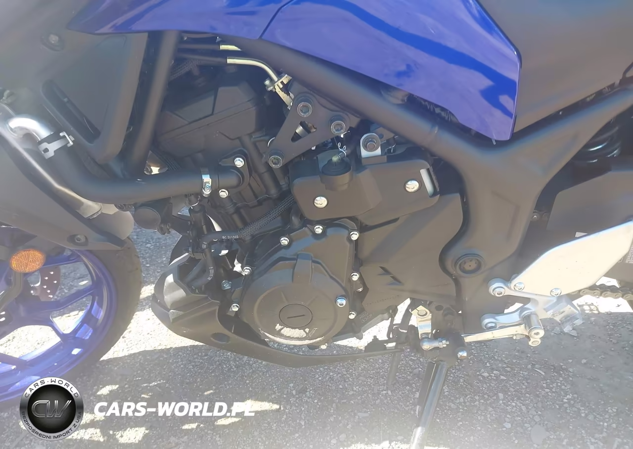2023 Yamaha Mt-03 VIN:MH3RH20Y6PK009559 - 9