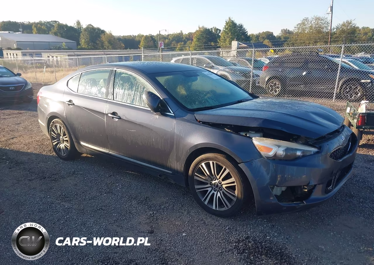 2014 Kia Cadenza Premium