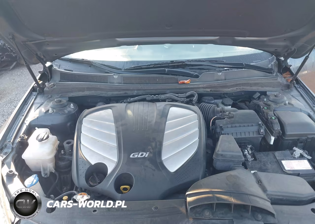 2014 Kia Cadenza Premium VIN:KNALN4D7XE5145776 - 10