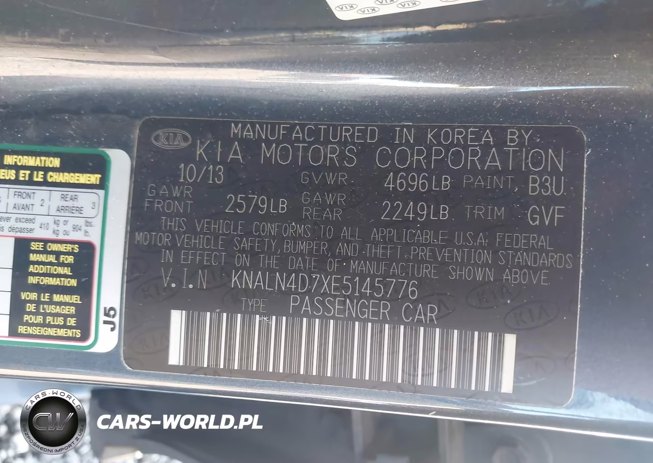 2014 Kia Cadenza Premium VIN:KNALN4D7XE5145776 - 9