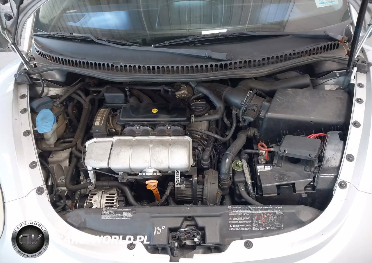 2003 Volkswagen New Beetle Gls VIN:3VWCK21Y43M304745 - 10