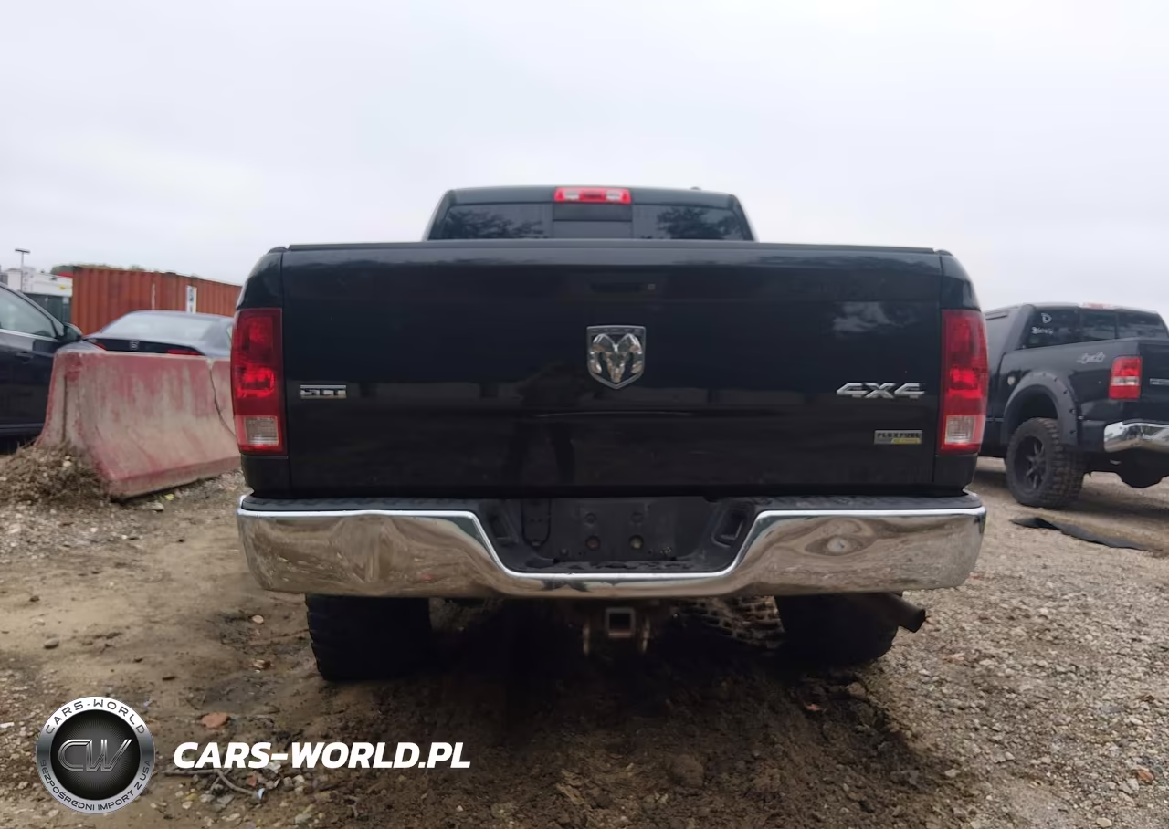2009 Dodge Ram 1500 Slt-Sport-Trx VIN:1D3HV18P69S797570 - 17