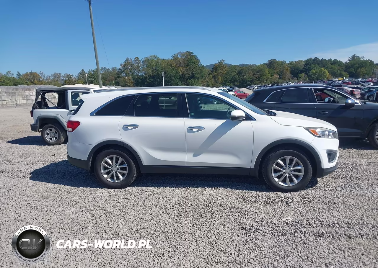 2016 Kia Sorento 3.3L Lx VIN:5XYPGDA59GG027407 - 13