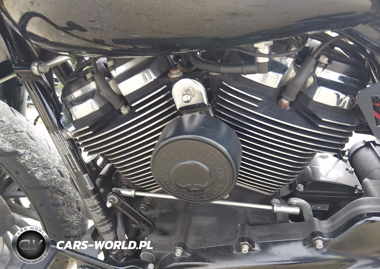 2019 Harley-Davidson Fltrxs VIN:1HD1KTP14KB680733 - 9