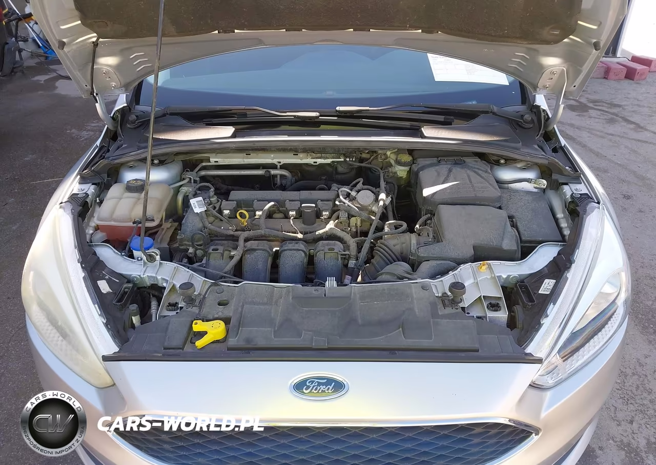 2016 Ford Focus Se VIN:1FADP3F26GL347760 - 10
