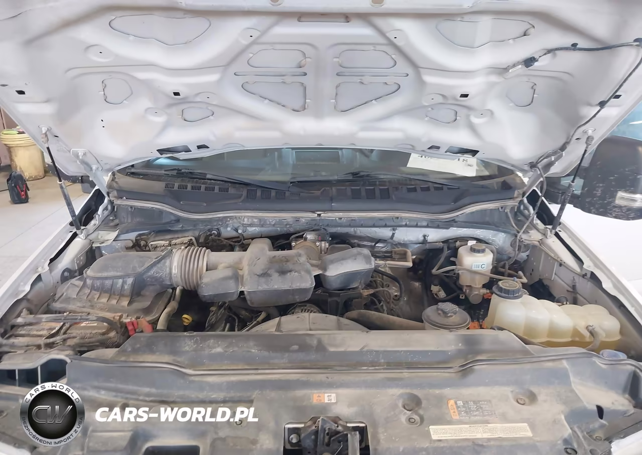 2019 Ford F-250 Xl VIN:1FT7W2B61KEE75446 - 10