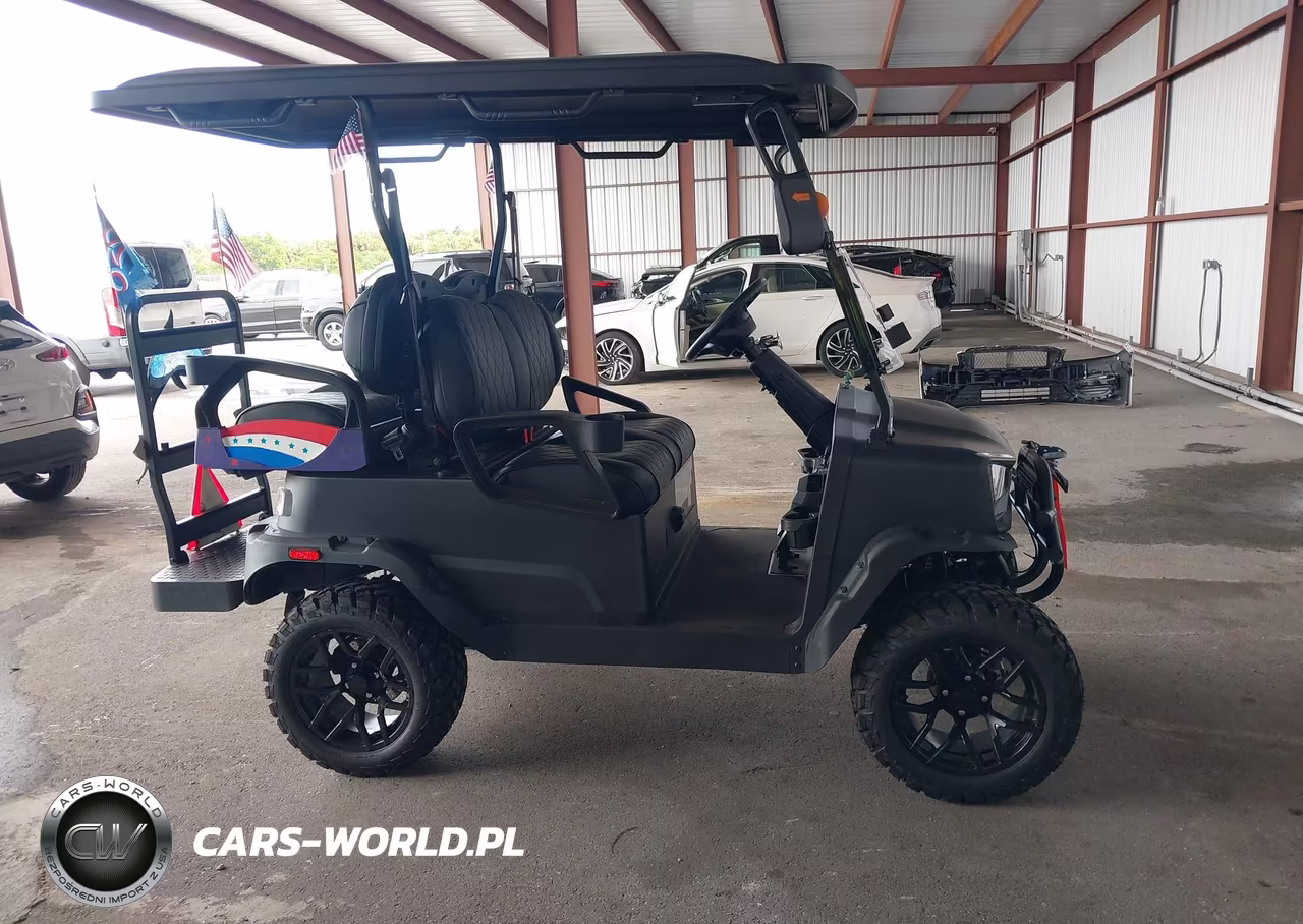 2025 Coleman Golf Cart VIN:L9NACGZA7S1310263 - 13