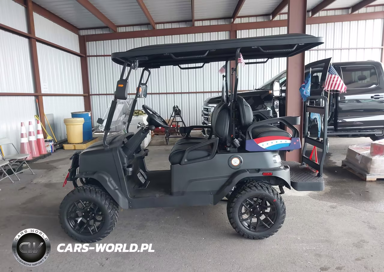 2025 Coleman Golf Cart VIN:L9NACGZA7S1310263 - 14
