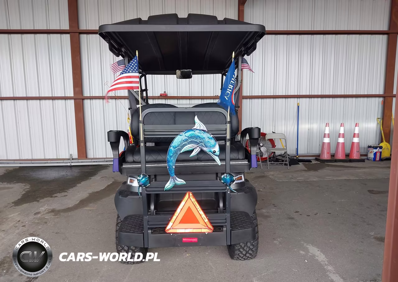 2025 Coleman Golf Cart VIN:L9NACGZA7S1310263 - 16