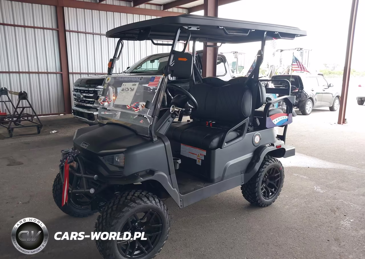 2025 Coleman Golf Cart VIN:L9NACGZA7S1310263 - 2