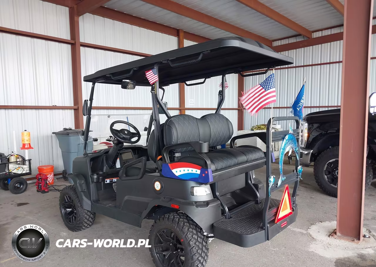 2025 Coleman Golf Cart VIN:L9NACGZA7S1310263 - 3