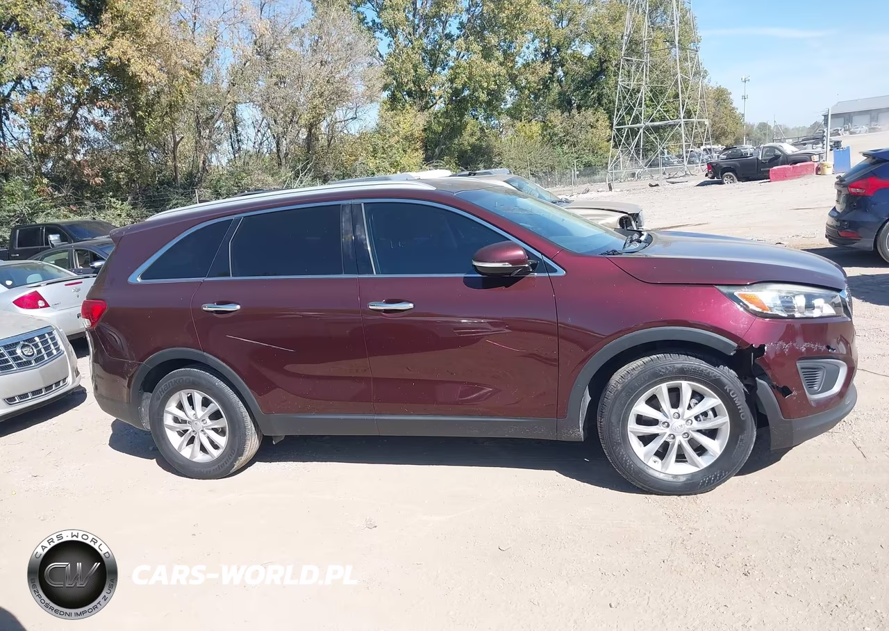 2017 Kia Sorento 2.4L Lx VIN:5XYPG4A33HG259081 - 13