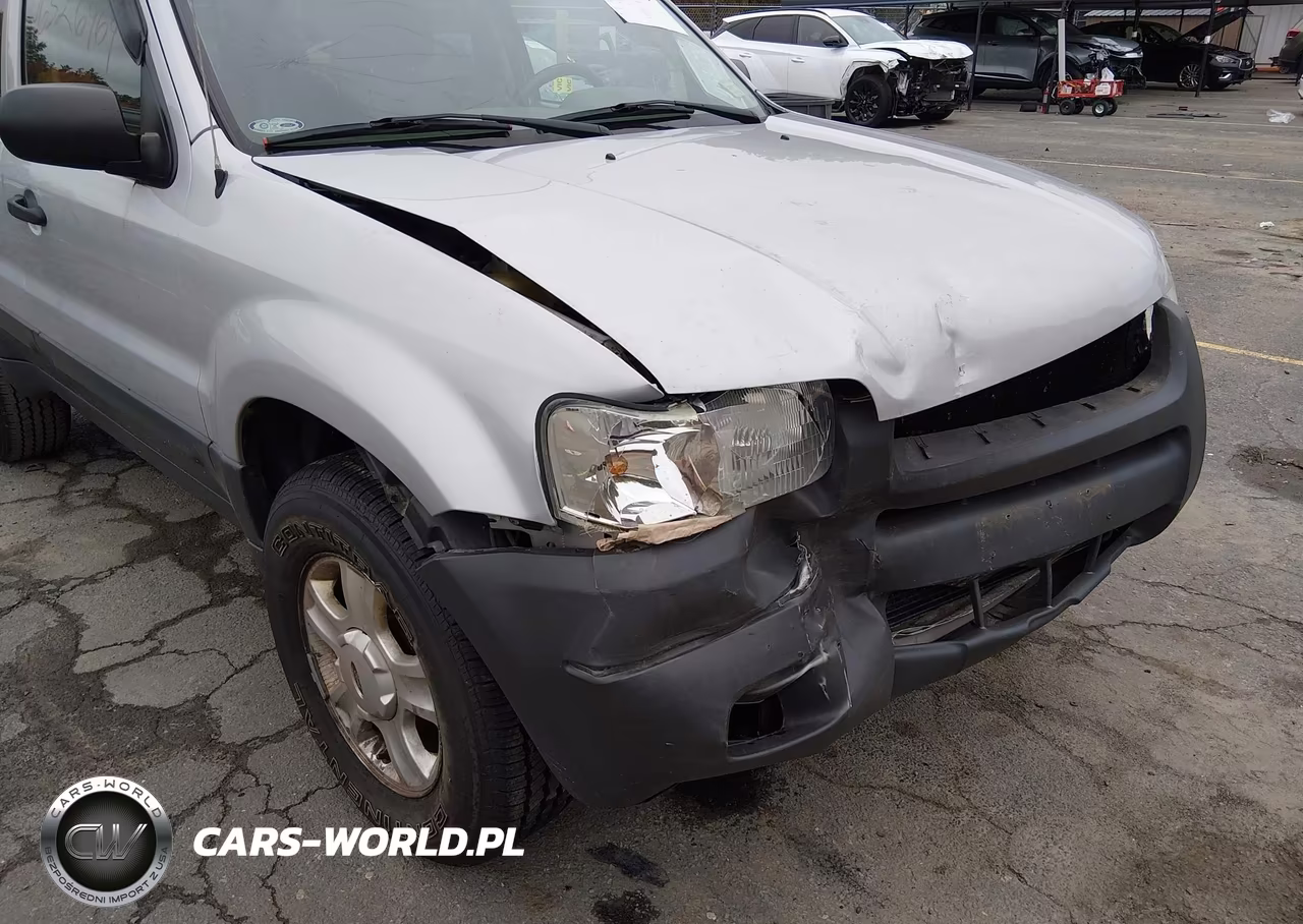 2004 Ford Escape Xlt VIN:1FMYU93154KB43340 - 12