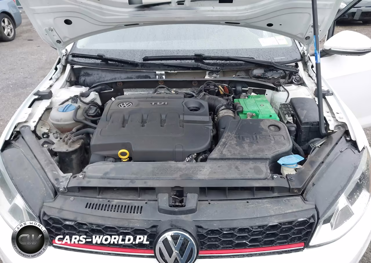 2015 Volkswagen Golf Tdi S 4-Door VIN:3VWRA7AU9FM101037 - 10