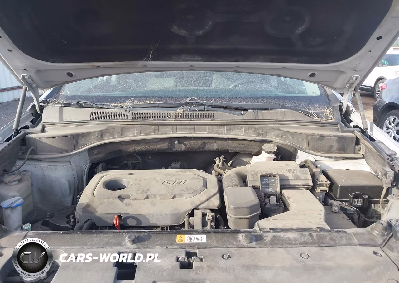 2018 Hyundai Santa Fe Sport 2.4L VIN:5XYZTDLB3JG527948 - 10