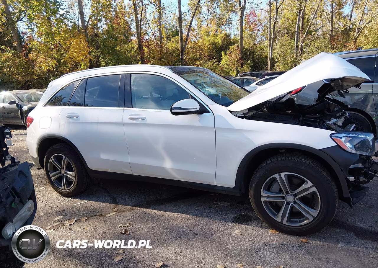 2017 Mercedes-Benz Glc 300 4Matic VIN:WDC0G4KB1HF119390 - 13