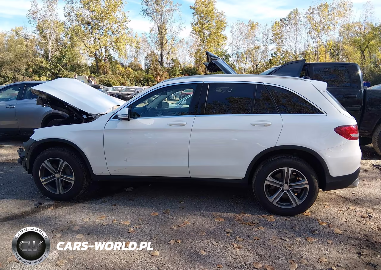 2017 Mercedes-Benz Glc 300 4Matic VIN:WDC0G4KB1HF119390 - 14